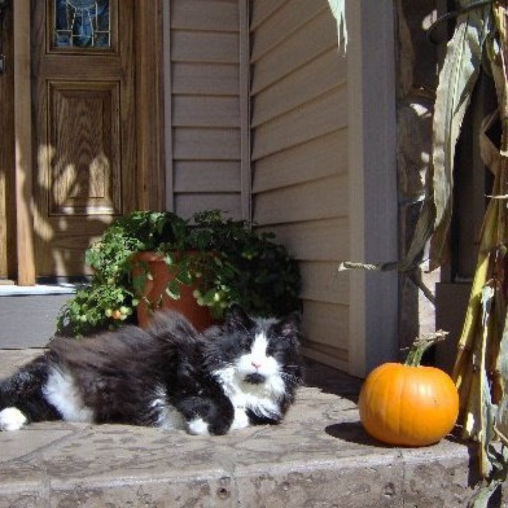 Meet your Posher, Donna